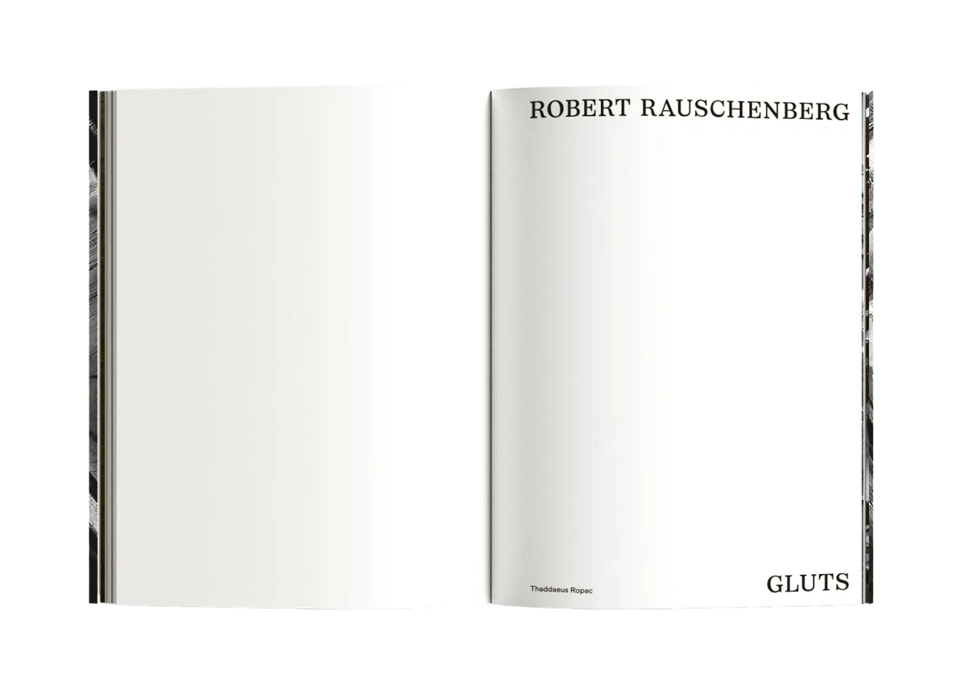 Robert Rauschenberg. Gluts, spread 1