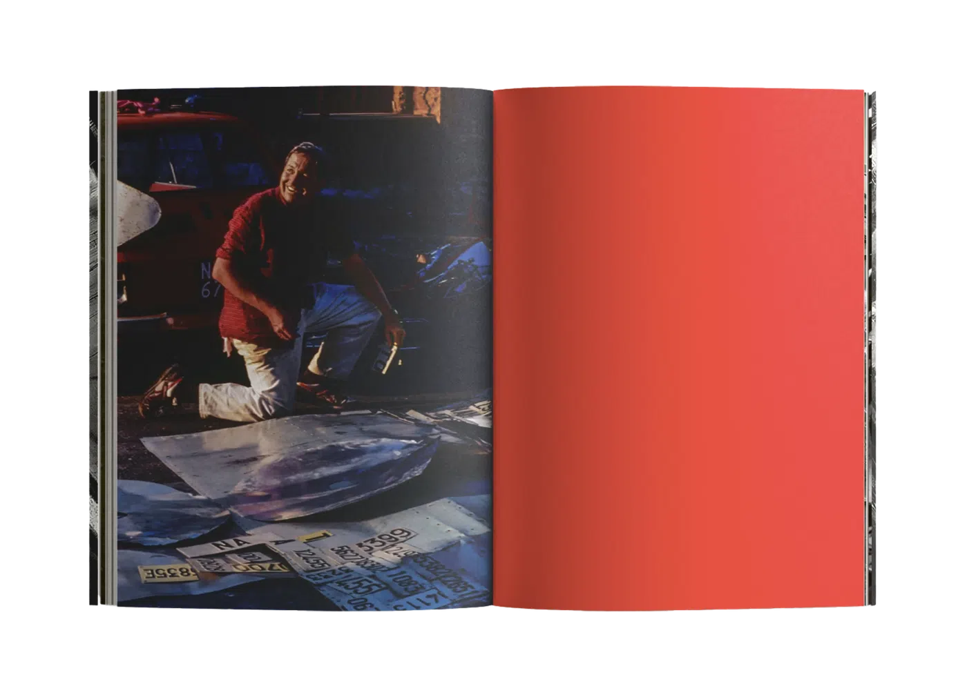 Robert Rauschenberg. Gluts, spread 6